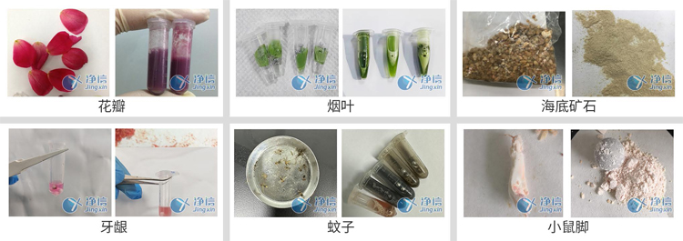 JXFSTPRP-CLN-DT凍臺冷凍研磨儀-研磨案例 JXFSTPRP-CLN-DT凍臺冷凍研磨儀-研磨案例